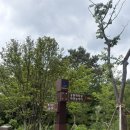 금화로L | [광주 아이랑 갈만한 곳] 마륵 근린공원 자연 놀이터 l 모래놀이 가득한 도심 속 숲 놀이터