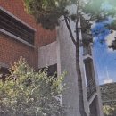 부천상록학교 이미지