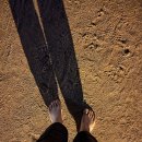 사파정병운동장 이미지