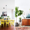 식물 인테리어 이미지