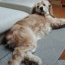 한강동물약품 이미지