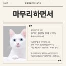 동물의료센터24인치 이미지