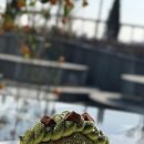 낙동강변25 | 환상적인 빛과 맛이 공존하는 낙동강변 힐링 스폿, 엠오엘에서 만난 달콤한 행복