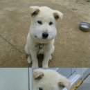 작업실오후 화장실 이미지