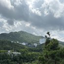 관악산 무장애숲길 | 중복날 관악산 무장애숲길을 걷고 계곡물에 발 담그고 피서!