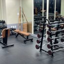 타이거 휘트니스 이미지