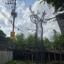 이길래 생성과응집 이미지