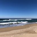 예쁘다. 하조대 이미지