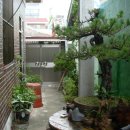 천자봉 농장 이미지