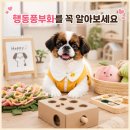 닥밭골행복협동조합 | 화성 반려 생활 살롱 행동풍부화 교육 후기, 우리 강아지를 더 행복하게 만드는 방법