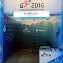 포스메이소프트 이미지