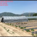 춘천시신북읍오동보건진료소 | 산천리 토지(전)경매/춘천시 신북읍 산천리 363-7 /2019타경51801