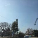 도고농장 | [아산데이트] 세계꽃식물원