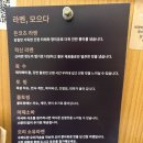 모으다 | 김포 운양동 라멘 맛집 라멘모으다 ㅡ 돈코츠 적신라멘 내돈내산 후기