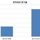 머리가 좋아지는 약 총명탕...그 실제 효능은 이미지