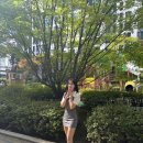 소울인미