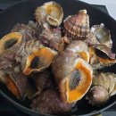 테라스의아침펜션 이미지