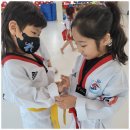 만나태권도 이미지