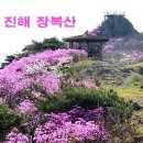 4월 7일 토요당일 - 진해 장복산+진해군항제 벚꽃산행 신청안내 이미지