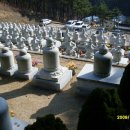 법지사