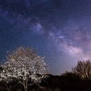 은다방 - 인제군 원통로 162 | 은다방
