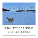 전일목장 이미지