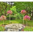 강원도립화목원 이미지