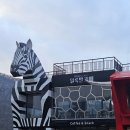 ㈜블랙스톤에듀팜리조트 | [증평::벨포레리조트] 놀거리 많은 벨포레리조트 35평형 4인가족숙박후기 (목장,미디어아트센터)