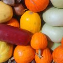 담비농장 이미지