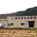 꽃뫼영농조합법인 충청신문