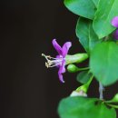 미 합중국 조지아주 사태의 &#34;본질&#34;을 직시하자 이미지
