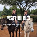 배울목장 | 서귀포카페 [목장카페 밭디] 아이와 함께 즐거운 추억 가득!