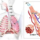 코로나 재유행의 시작 이미지