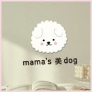지디자인스튜디오