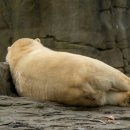 바디퍼포먼스 짐 이미지