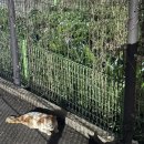 세젤마켓 이미지