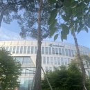 판교로289번길 네이버블로그