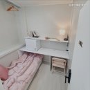 파루스셀라종로