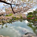 미니스톱경남대한마관점 | 2022 경남대 한마인재전형 간호학과 면접후기