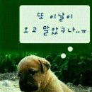 :다