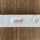 비금면수치도보건진료소 | 코로나19 검사 지정 병·의원 방문 후기_자가검사키트 구입이 답?