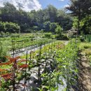 소림농장 이미지