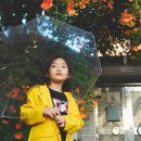 삼두아파트경로당 | 대구 능소화 명소 파란대문집 및 앞산 숨은 능소화 스팟