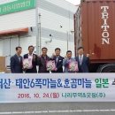 서산태안6쪽마늘조합 공동사업법인 이미지