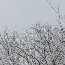 연우농원 이미지