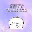 [선물추천]포항 효자 푸줏간 한우 선물세트,성시경 막걸리 경탁주 명절선물 완전 추천 내돈내산 솔직후기