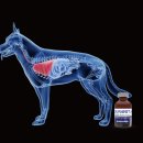 녹십자수의약품(주) 이미지