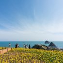 하단동1153 이미지