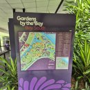 더베이 | 싱가포르 가든스 바이 더 베이 슈퍼트리 관람 후기 | 플라워돔·클라우드포레스트 관람 코스