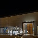 발레나식스 | [울산 카페] 넓은 잔디밭, 분위기 좋은 애견동반 카페 발레나식스 본점 내돈내산 후기